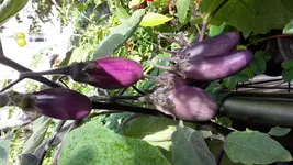 20161002_121113.webp