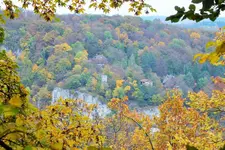 DSCF7719 (2).webp