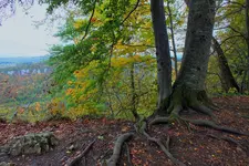 DSCF7718 (2).webp