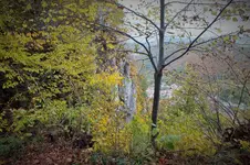 DSCF7717 (2).webp