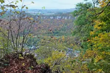 DSCF7716 (2).webp