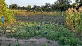 IMG_20160909_184433_921.webp