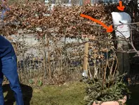 DSC_0284.2.2.webp
