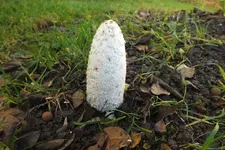 DSCF7686 (2).webp