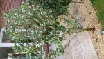 20161021_160758.jpg