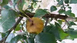 20161021_160812.webp
