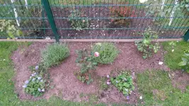IMG-20161021-WA0002.jpg