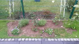 IMG-20161021-WA0001.jpg