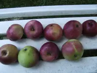 BILD5697.webp