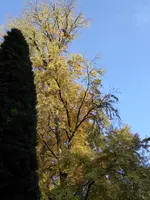 P1020179.jpg