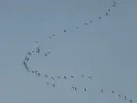 P1020203.webp