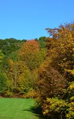 DSC_8568.webp