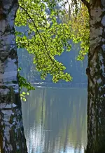 DSC_8589.webp