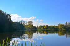 DSC_8597.JPG