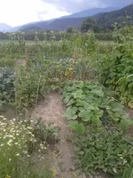 20160722_153303.jpg