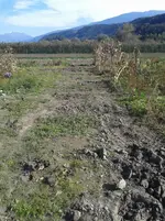 20161023_133528.jpg