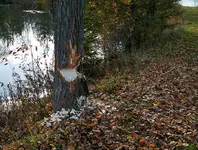 IMG_8604-2.webp