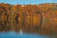 IMG_8730.jpg