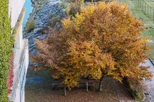 IMG_8745.jpg