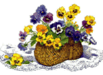 Blumen.gif