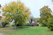DSCF7701 (2).webp