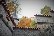 DSCF7713 (2).webp