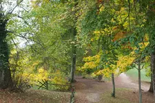 DSCF7714 (2).webp