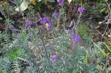 2016-10-24 Unbekannt1.webp