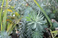 2016-10-24 Unbekannt2.webp