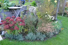 2016-10-24 Halbrundbeet1.JPG