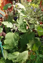 20161024_113542.2.webp