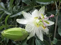 DSCI0647.webp