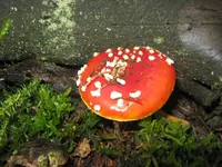 005_1280x960.webp