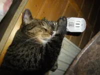 IMGP3889.webp