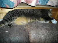 IMGP3888.webp