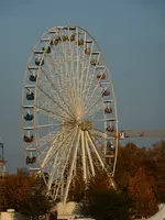 P1020206.webp