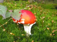 007_1280x960.webp
