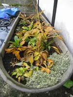 001_720x960.webp