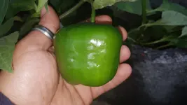 20161026_150056.jpg