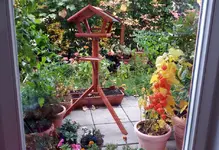 20161021_105619.2.webp