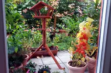 20161021_105643.2.webp
