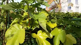 20161024_113645.2.webp
