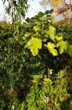 20161024_113655.2.webp