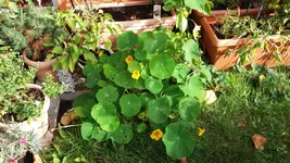 20161024_113738.2.webp
