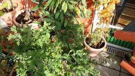 20161024_113753.2.webp