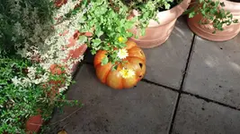 20161024_113801.2.webp