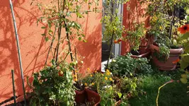 20161024_113810.2.webp