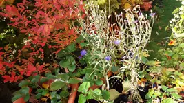 20161024_113823.2.webp