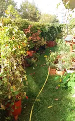 20161024_113846.j2.pg.webp
