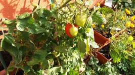 20161024_113907.2.webp